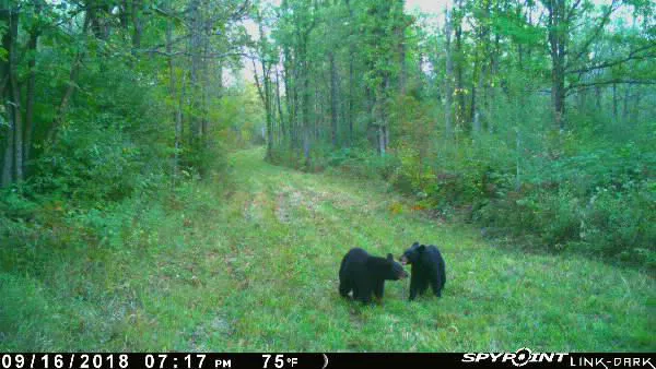 Crooked Creek Outpost, LLC Picture 3