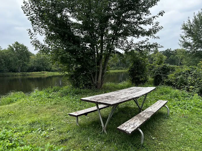 Bear Creek Campsite Picture 1