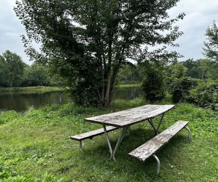 Bear Creek Campsite