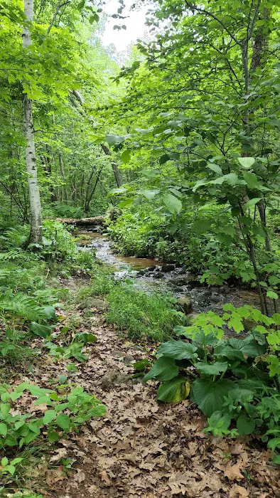 Fox Landing Picture 6