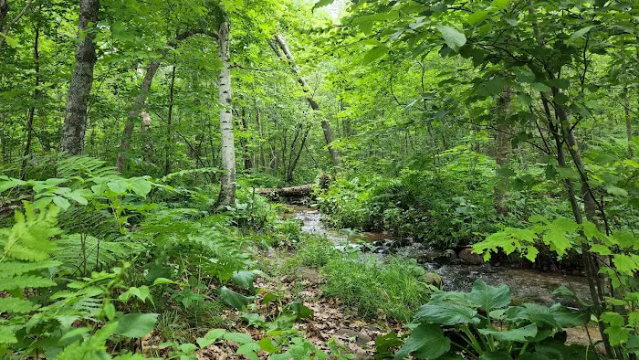 Fox Landing Picture 8