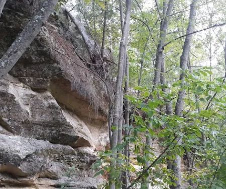 Sandrock Cliffs Campground