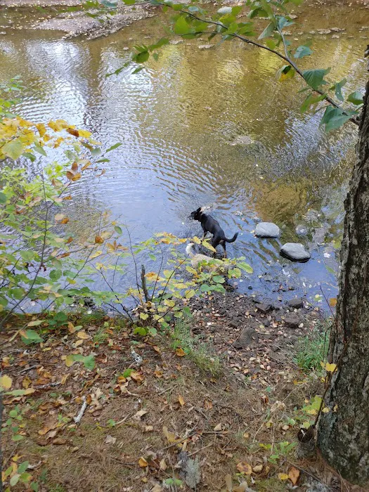 Sandrock Cliffs Campground Picture 6