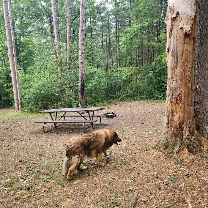 Sandrock Cliffs Campground Picture 8
