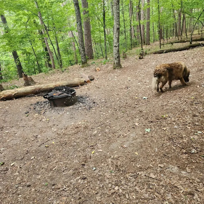 Sandrock Cliffs Campground Picture 7