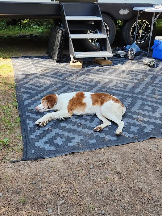 Snake River Campground Picture 6