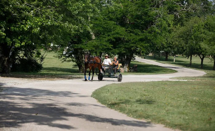 4 Mile Creek Resort - RV Park and Campground Picture 8