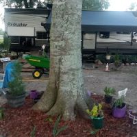 back to back rv park ico