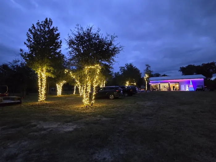 Hidden Cypress Christmas Tree Farm Picture 1