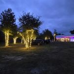 Hidden Cypress Christmas Tree Farm