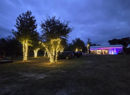 Hidden Cypress Christmas Tree Farm