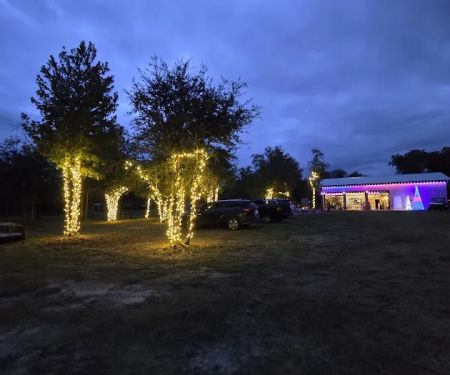 Hidden Cypress Christmas Tree Farm