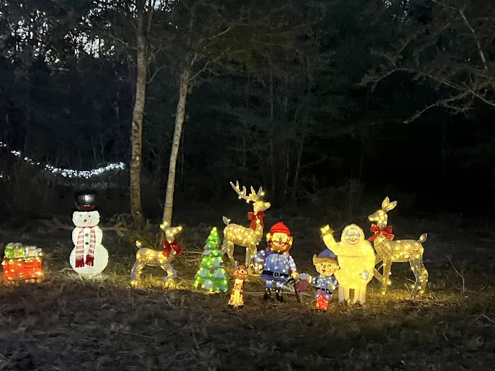 Hidden Cypress Christmas Tree Farm Picture 10