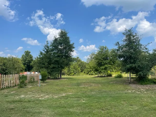 Hidden Cypress Christmas Tree Farm Picture 5