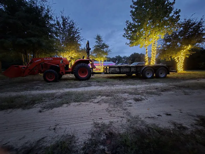 Hidden Cypress Christmas Tree Farm Picture 2