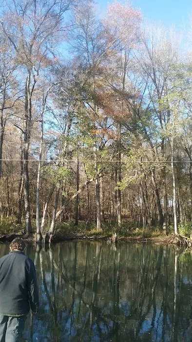 Lilypad Adventures Picture 4