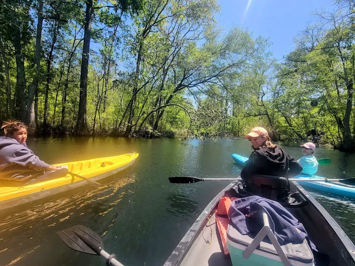 Lilypad Adventures Picture 9