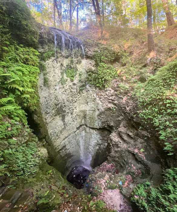 Falling Waters State Park Campground Picture 10