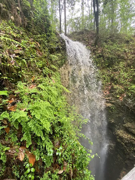 Falling Waters State Park Campground Picture 3