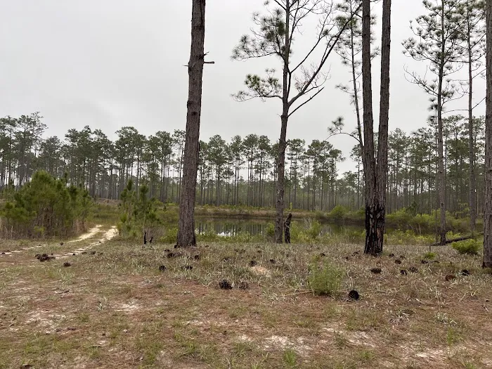 Otter Hunt Camp Picture 3