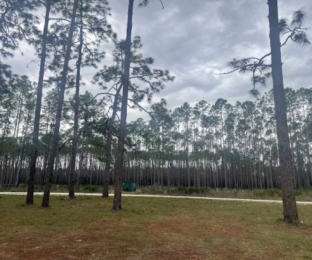 Buckhorn Camp