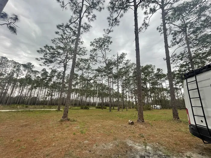 Buckhorn Camp Picture 2