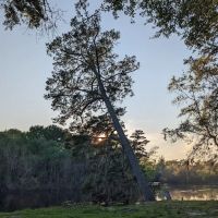 Piney Creek Landing Campground ico