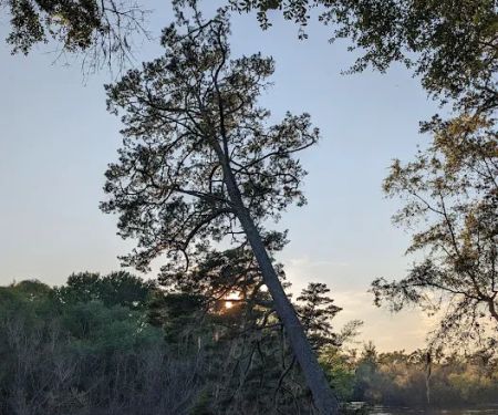 Piney Creek Landing Campground