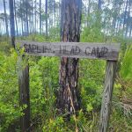 Sapling Head Camp