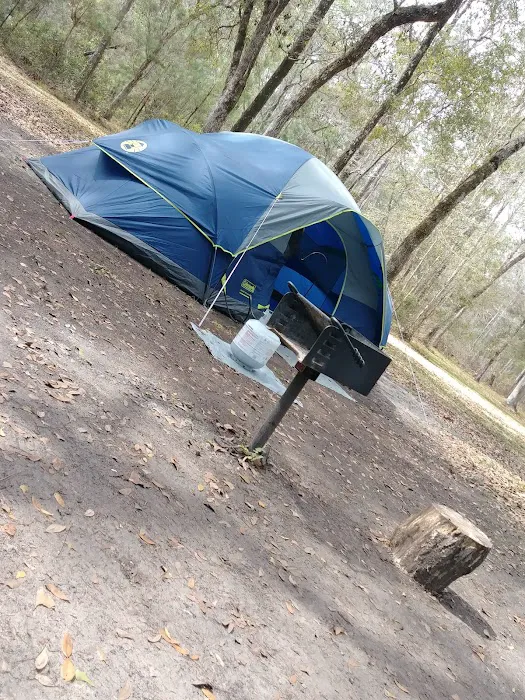 Whitehead Lake Campground Picture 6