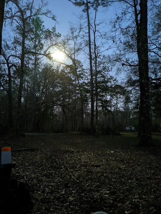Whitehead Lake Campground Picture 1