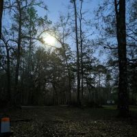 Whitehead Lake Campground ico