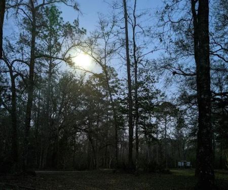 Whitehead Lake Campground