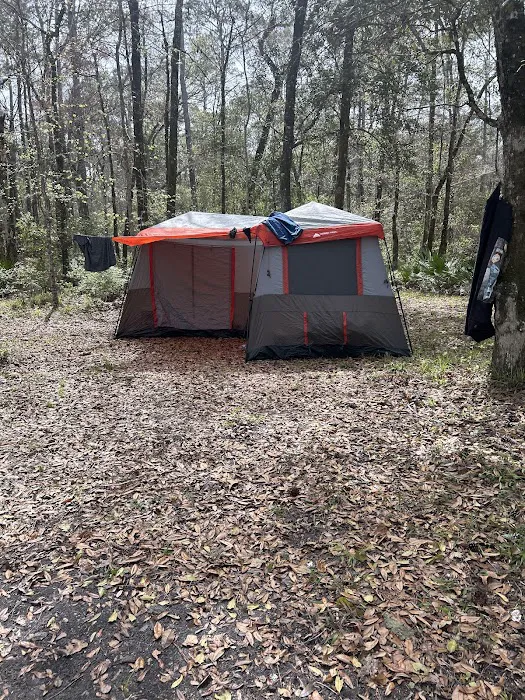 Whitehead Lake Campground Picture 8