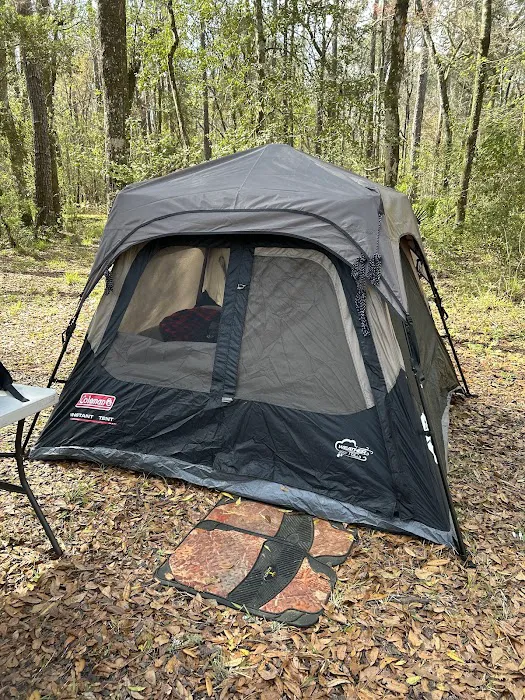 Whitehead Lake Campground Picture 3