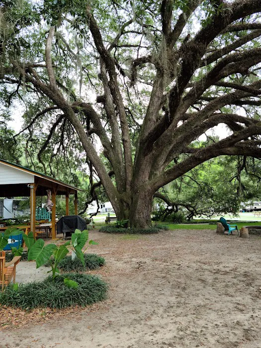 Big Oak RV Park Picture 2
