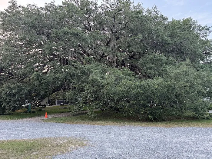Big Oak RV Park Picture 4