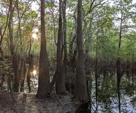 Big Gully Landing Campground