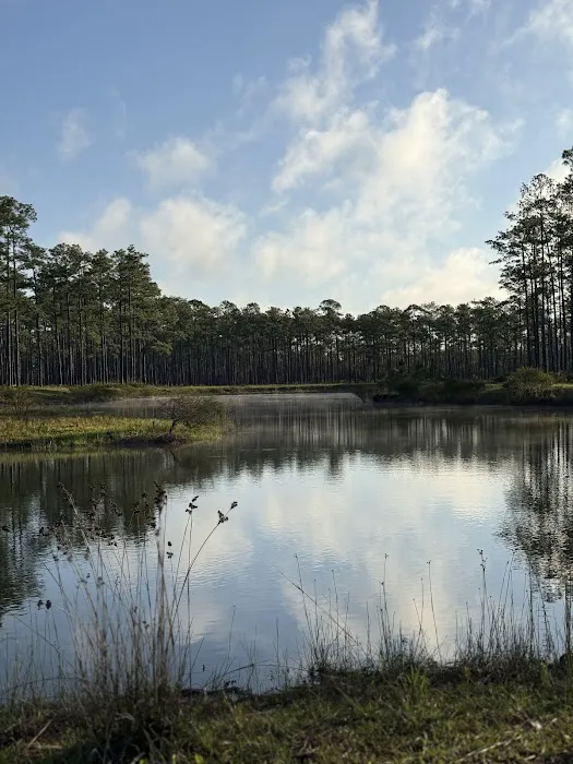 Cliff Lake Hunt Camp Picture 5