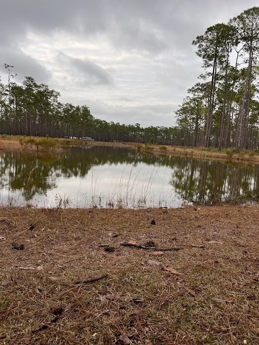 Cliff Lake Hunt Camp Picture 10