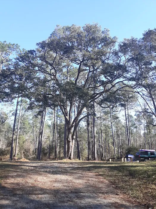 Cotton Landing Campground Picture 3