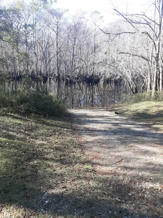 Cotton Landing Campground Picture 5