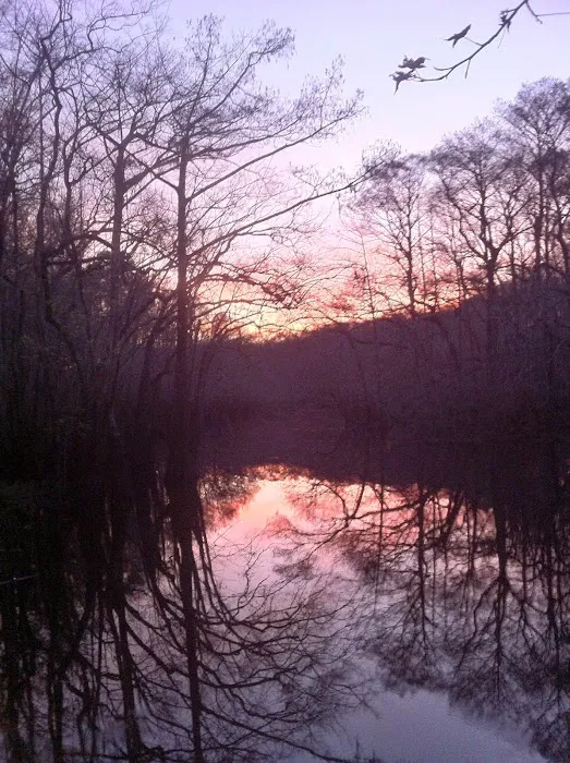 Cotton Landing Campground Picture 1