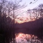 Cotton Landing Campground