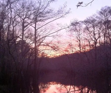 Cotton Landing Campground