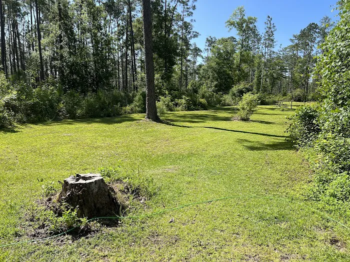 Wright Lake Campground Picture 5