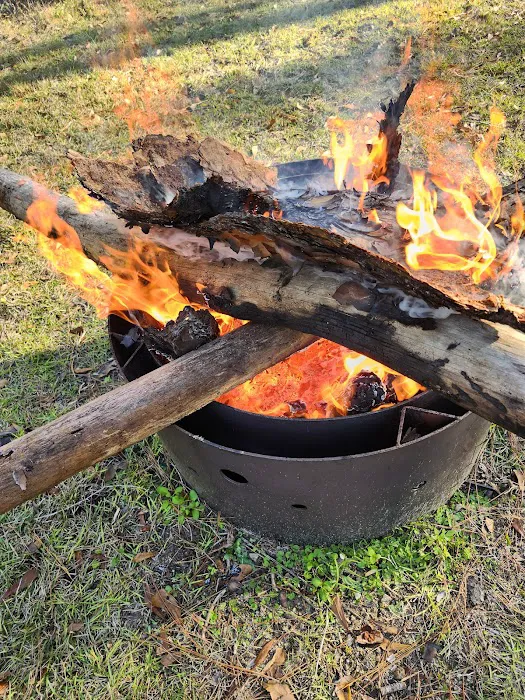 Wright Lake Campground Picture 6