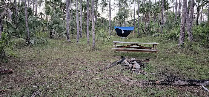 Panther Camp Picture 9