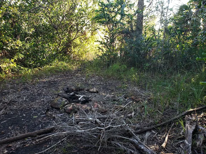 Ivy Campground Picture 9