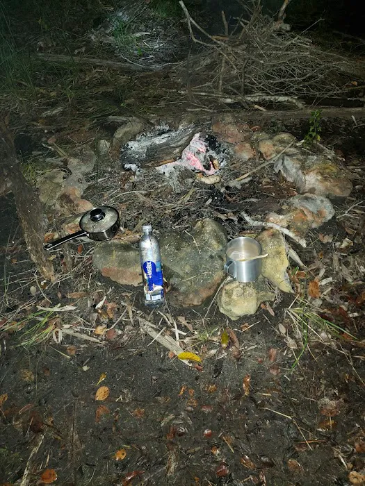 Ivy Campground Picture 4